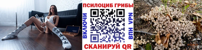 Галлюциногенные грибы ЛСД  shop состав  Шебекино  ОМГ ОМГ как войти 