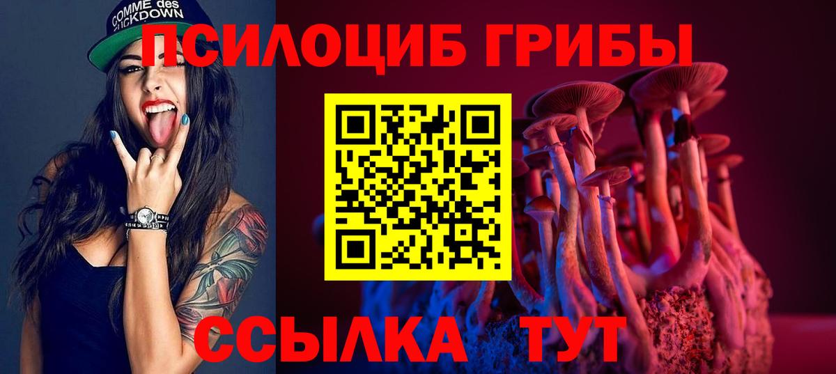 Псилоцибиновые грибы Psilocybe Шебекино